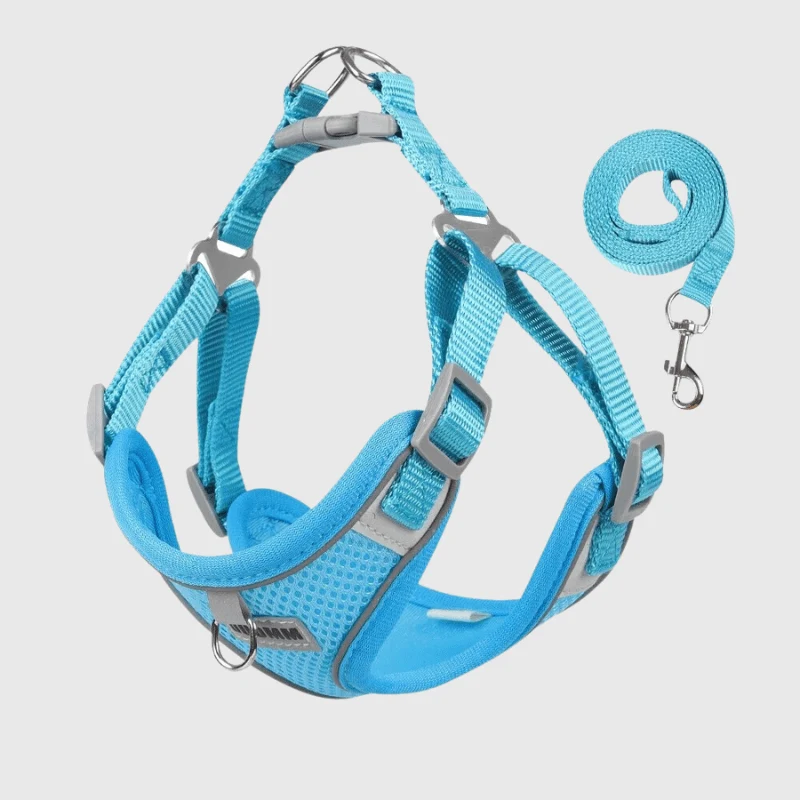 Harnais Confort Nylon Réglable Gros Chien