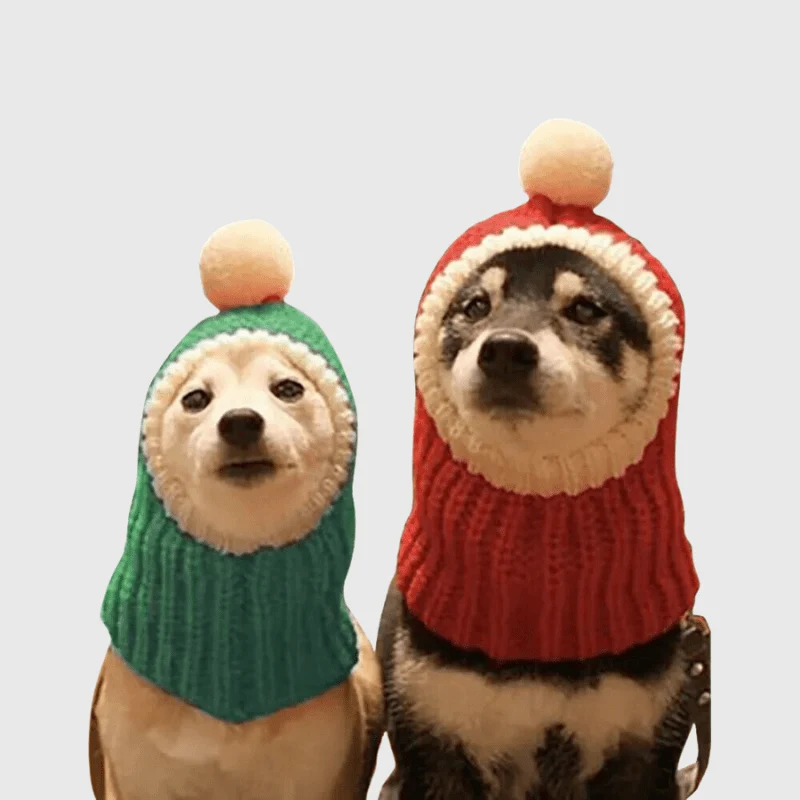 Cagoule Pom-Pom Hiver Chien