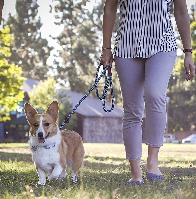 Laisse Corde Tressée Solide Gros Chien