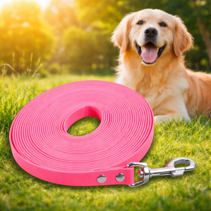 Longe Fine Nylon Multicolore Gros Chien