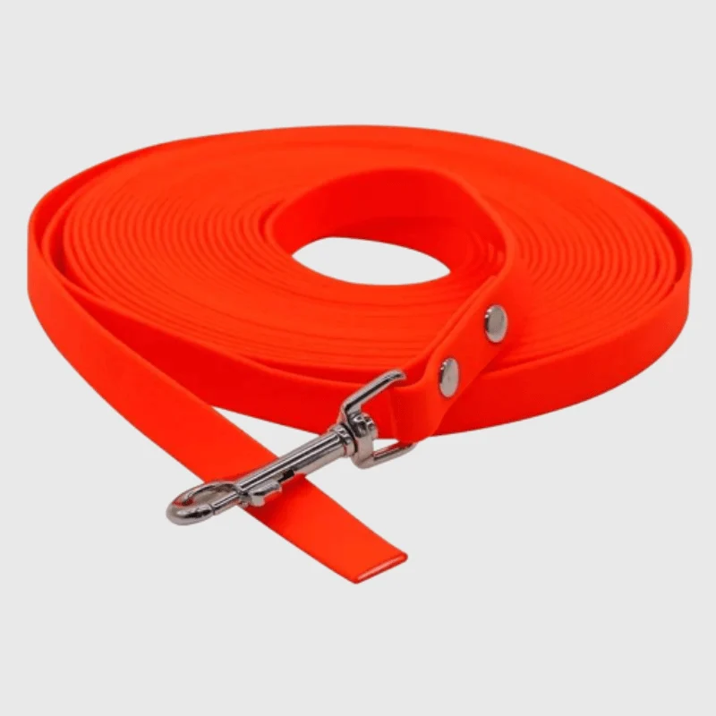 Longe Fine Nylon Multicolore Gros Chien