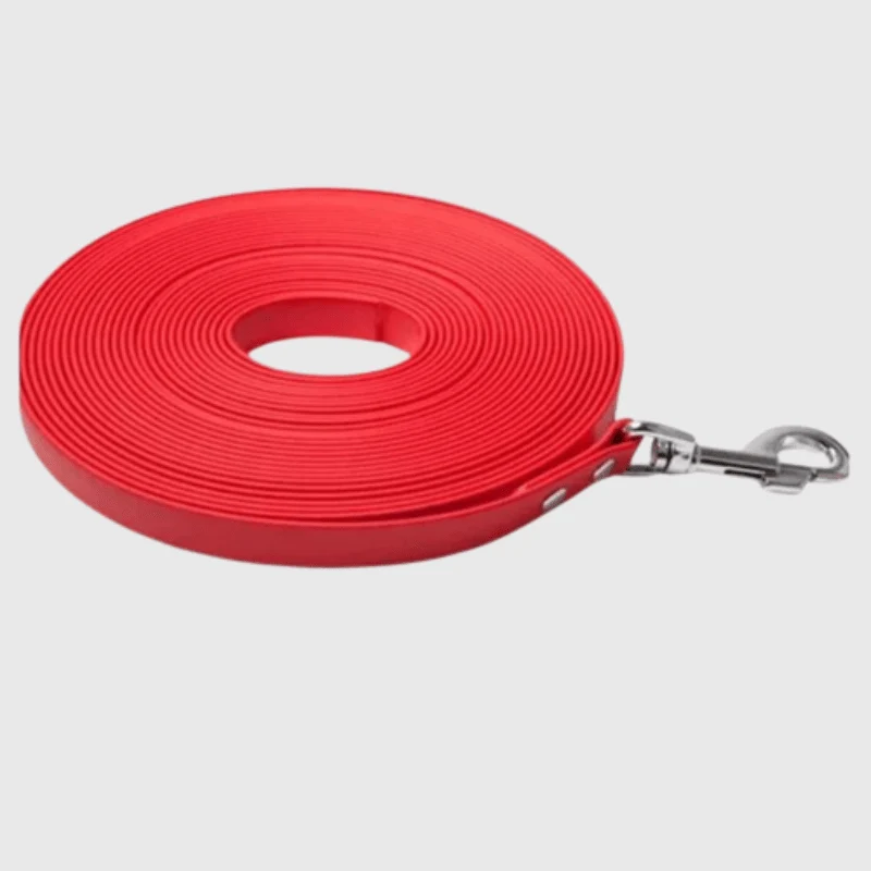 Longe Fine Nylon Multicolore Gros Chien