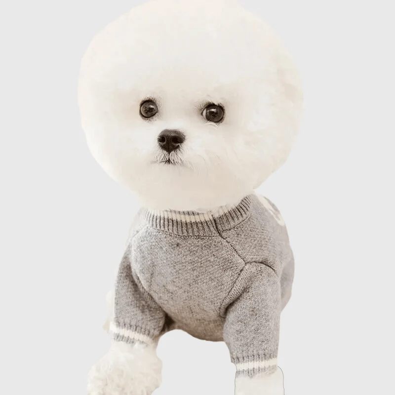 Pull Laine Carreaux Chien Hiver Doux