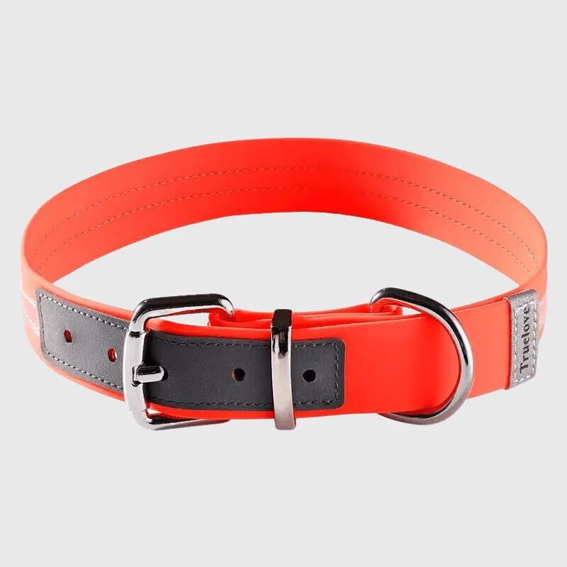 Collier Imperméable Chien Réfléchissant Ajustable