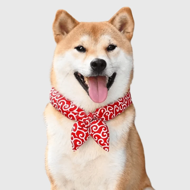 Bandana Noeud Chien Élégant Coloré