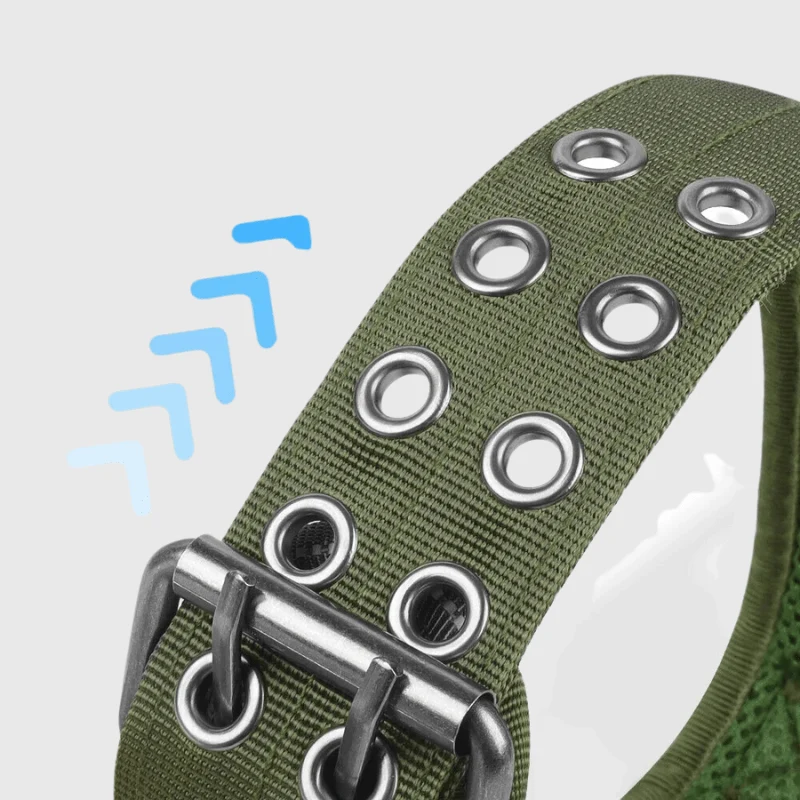 Collier Nylon Renforcé Gros Chien Poignée