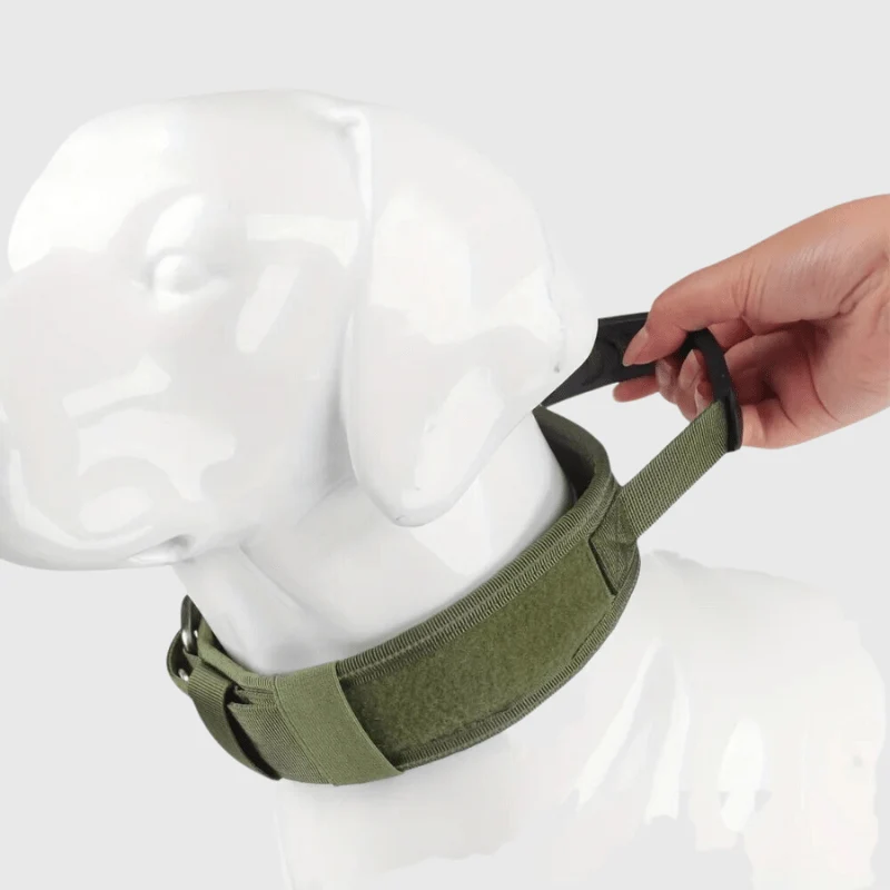 Collier Nylon Renforcé Gros Chien Poignée