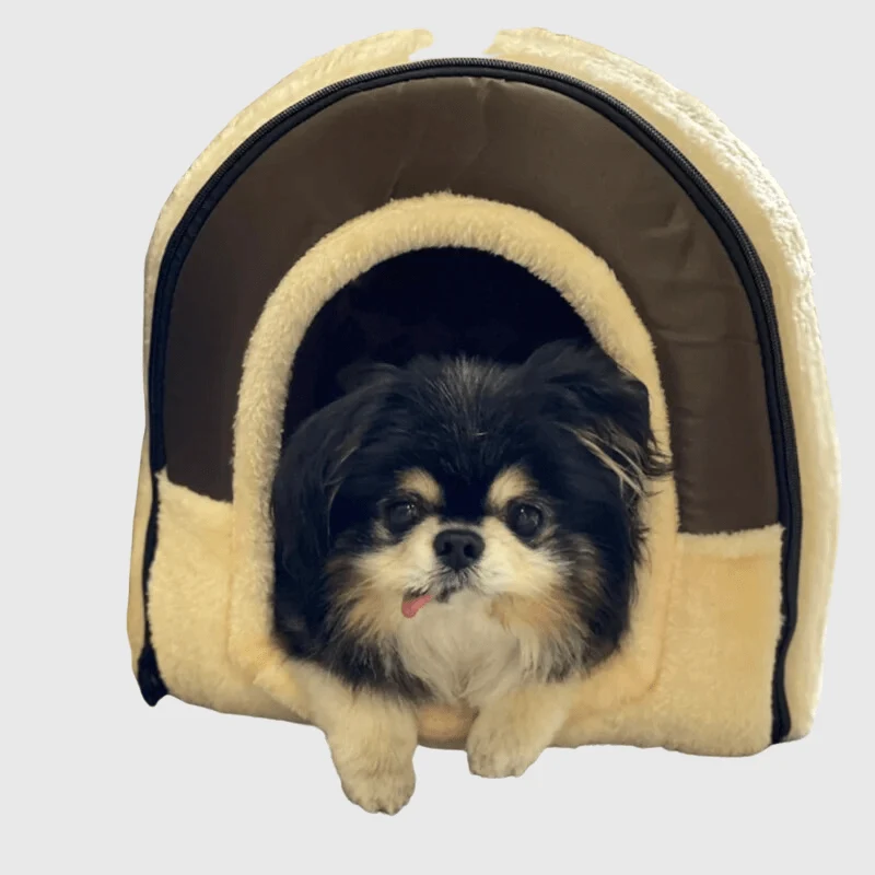 Niche Intérieure Chien Bleue Blanche Design