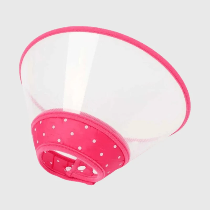 Collerette Lune Plastique Transparente Chien