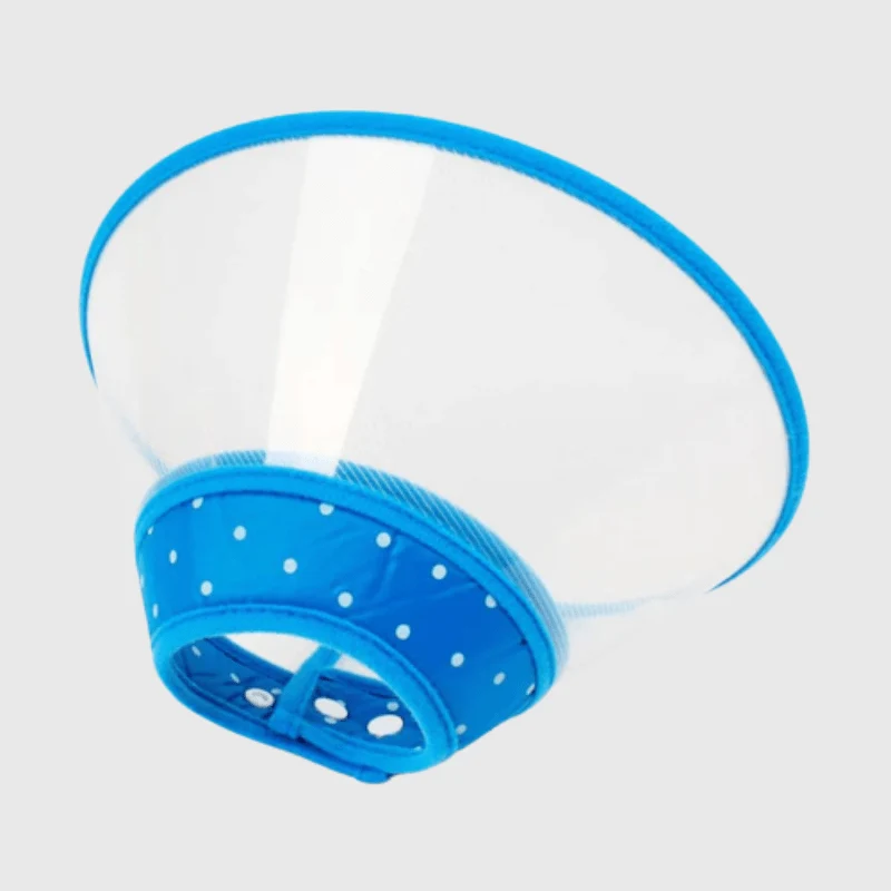 Collerette Lune Plastique Transparente Chien