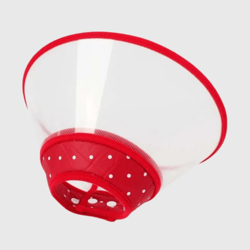 Collerette Lune Plastique Transparente Chien