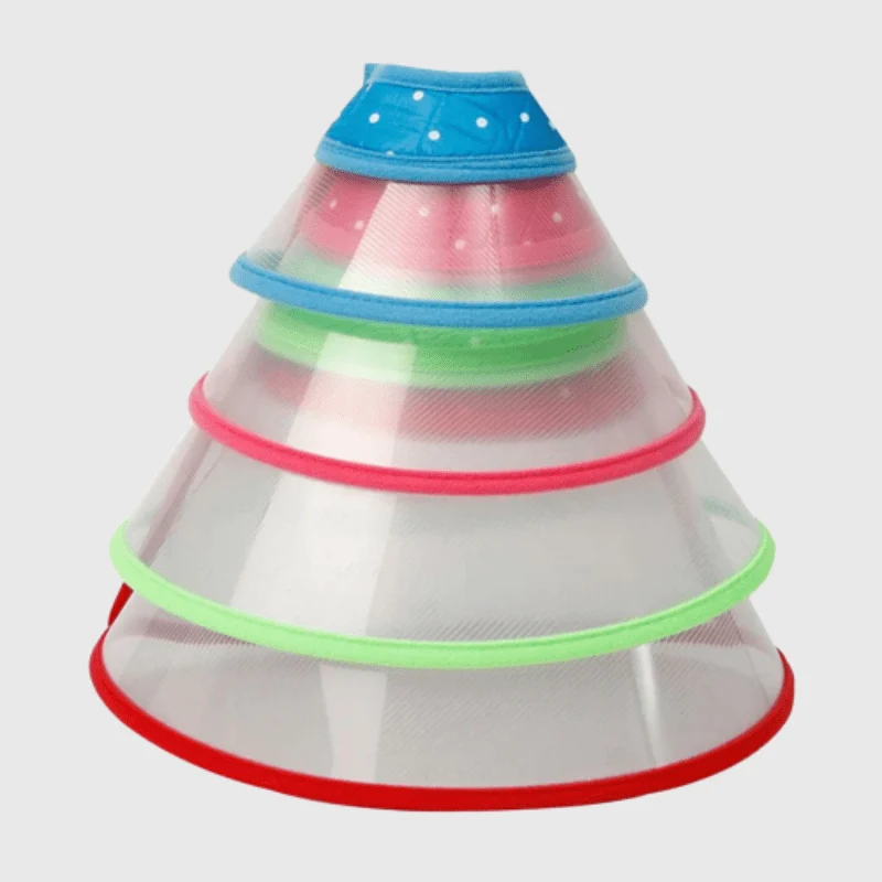 Collerette Lune Plastique Transparente Chien