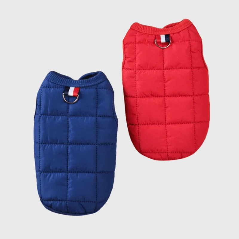 Manteau Laine Bleu Petit Chien Hiver