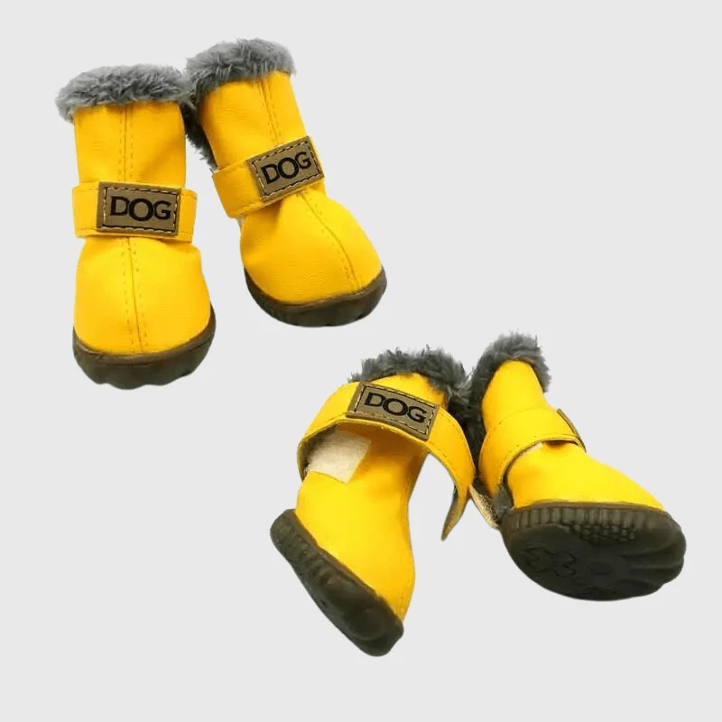 Chaussettes Neige Antidérapantes Chien Hiver