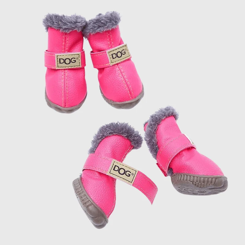Chaussettes Neige Antidérapantes Chien Hiver