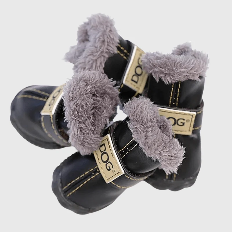 Chaussettes Neige Antidérapantes Chien Hiver