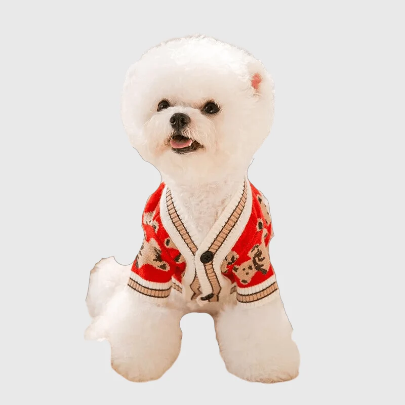 Pull Chien Design Ours Hiver Chaud