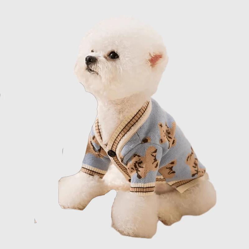 Pull Chien Design Ours Hiver Chaud