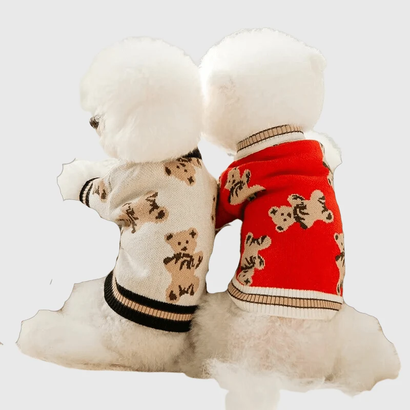Pull Chien Design Ours Hiver Chaud
