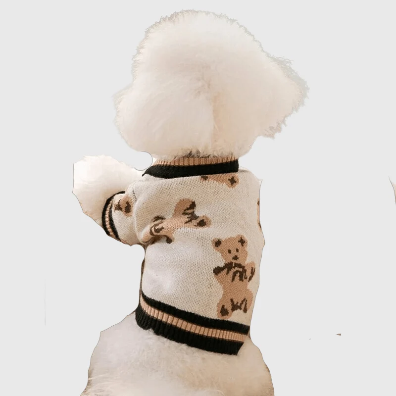 Pull Chien Design Ours Hiver Chaud