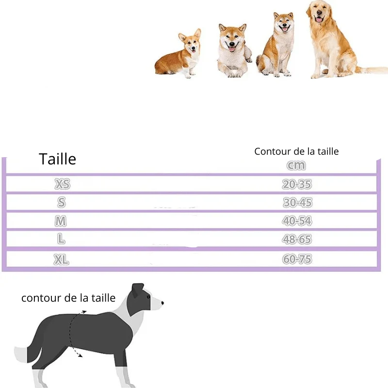 Culotte Hygiénique Élastique Chienne Chaleur