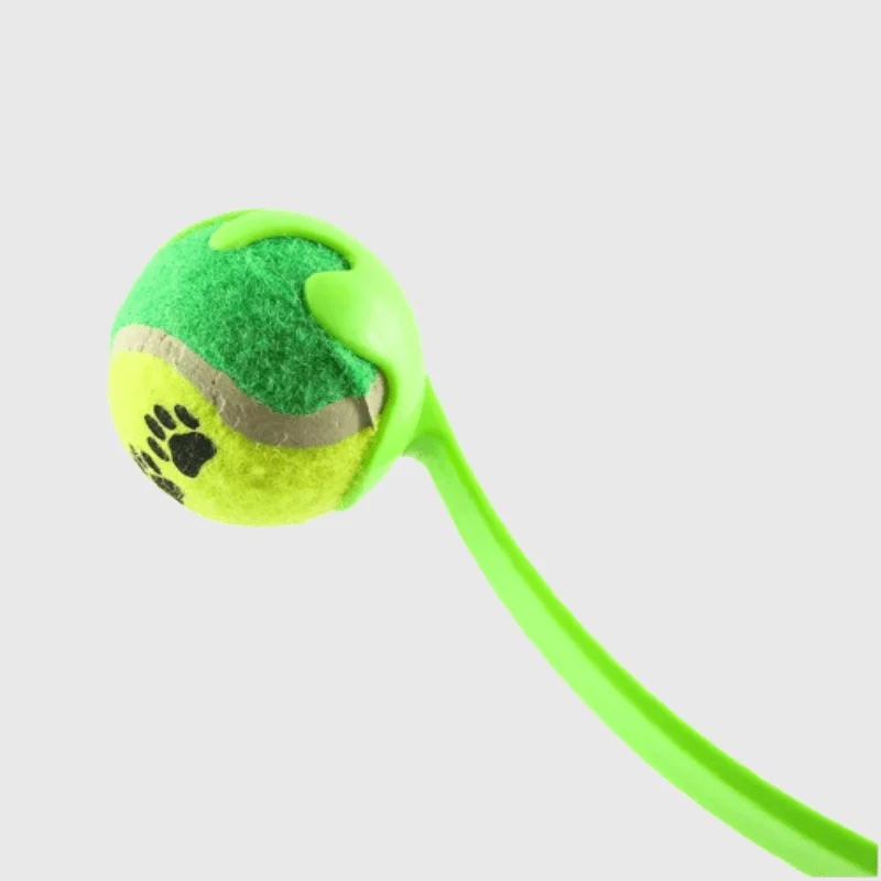 Lanceur Balle Tennis Vert Gros Chien