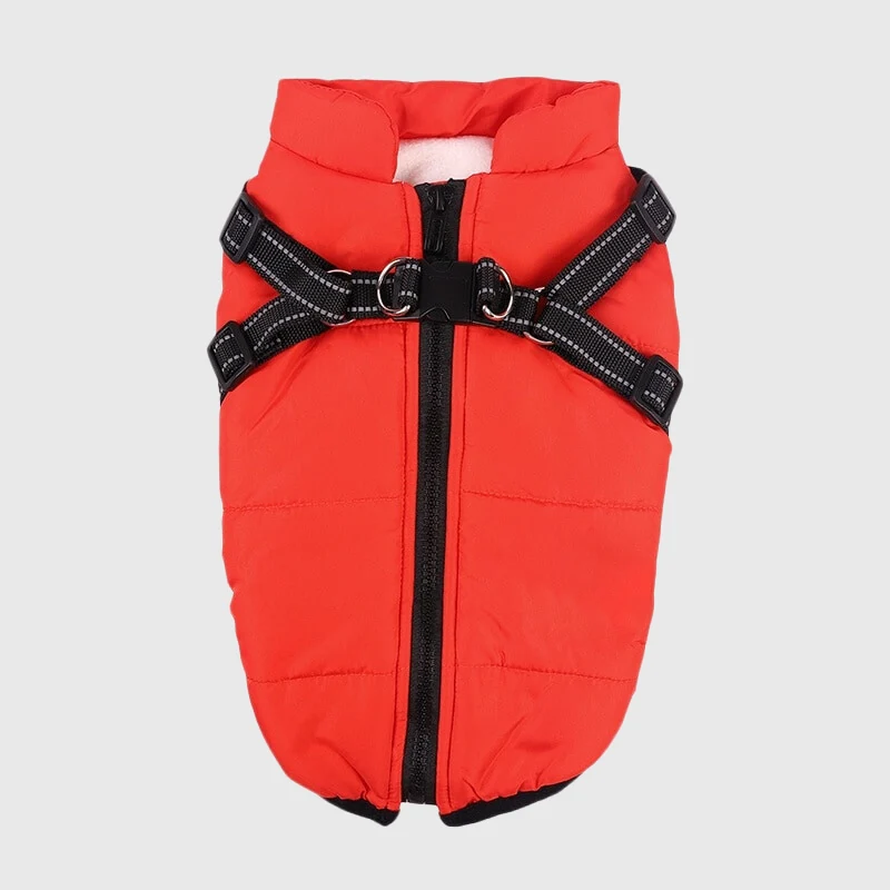 Manteau Hiver Harnais Intégré Molosse