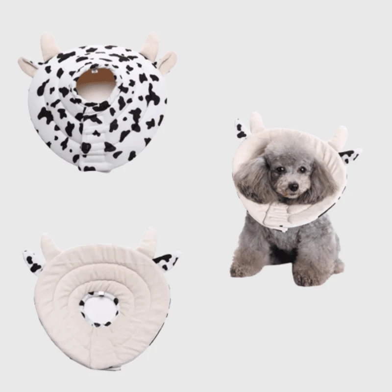 Collerette Souple Vache Convalescence Gros Chien