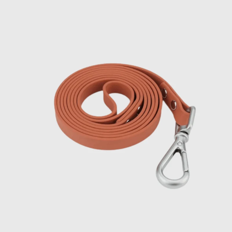 Longe Nylon Renforcée 3m Gros Chien