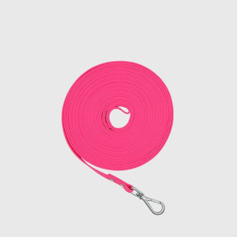 Longe Nylon Renforcée 3m Gros Chien