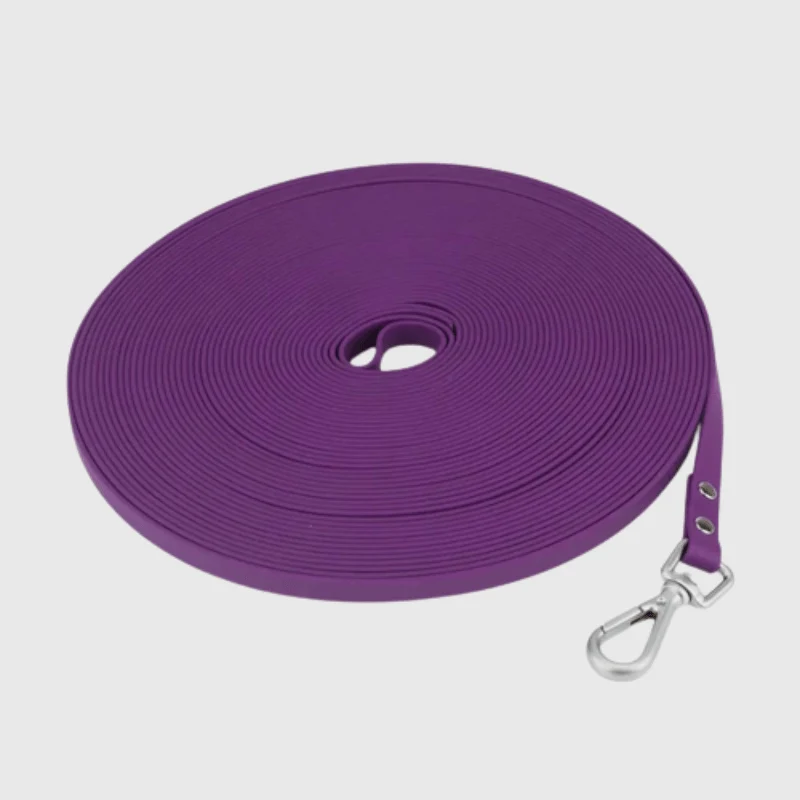 Longe Nylon Renforcée 3m Gros Chien