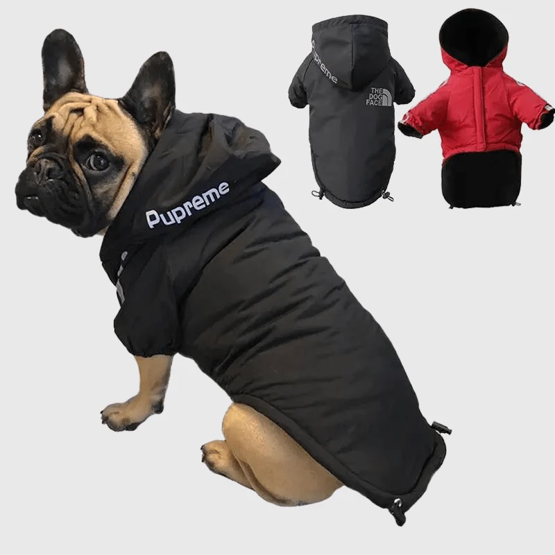 Manteau Imperméable Grand Froid Capuche Gros Chien