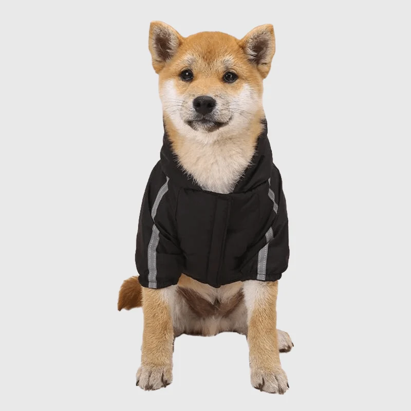 Manteau Imperméable Grand Froid Capuche Gros Chien