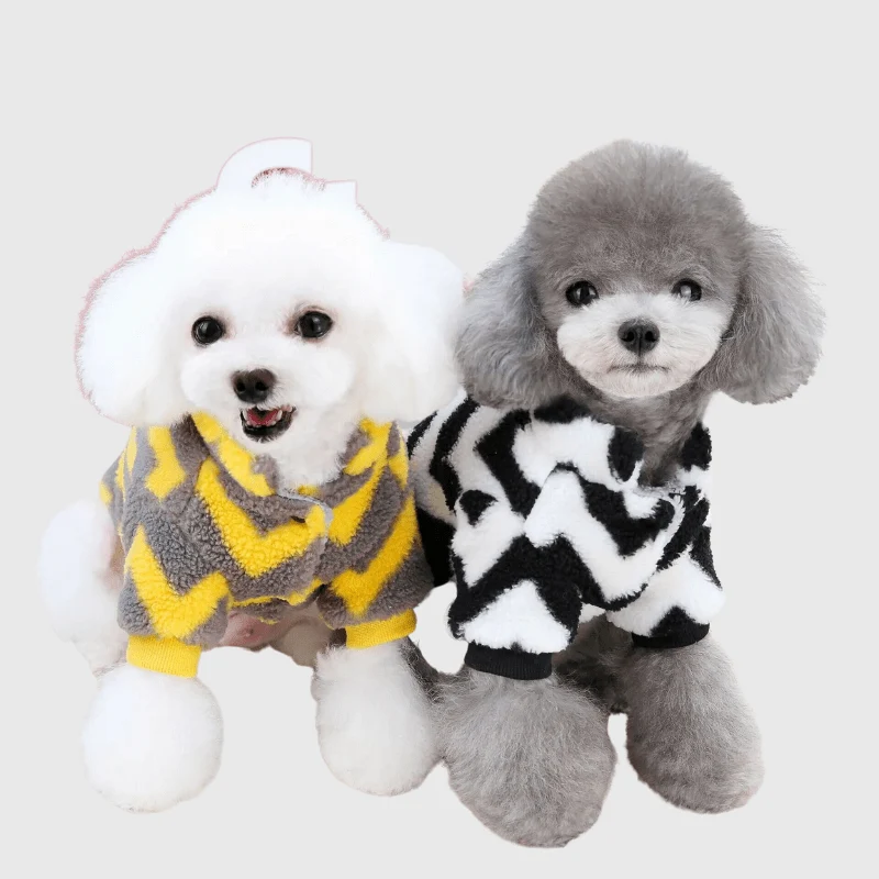 Pull Chaud Petit Chien Hiver Tricot Extensible