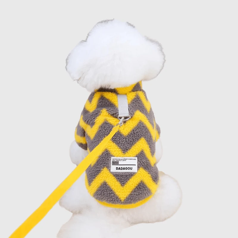 Pull Chaud Petit Chien Hiver Tricot Extensible
