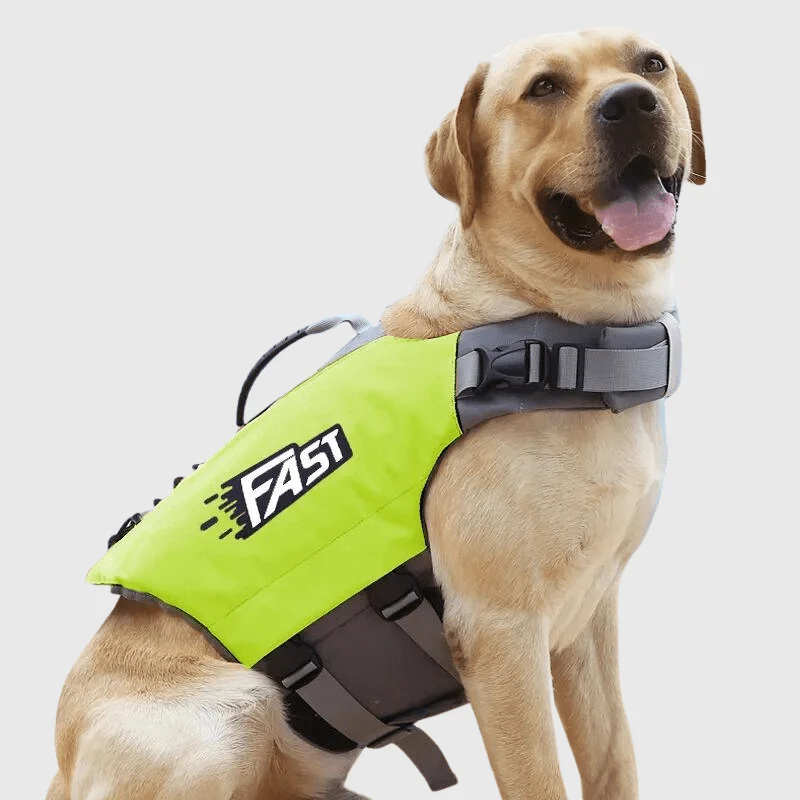 Gilet Sauvetage Chien Natation Vert