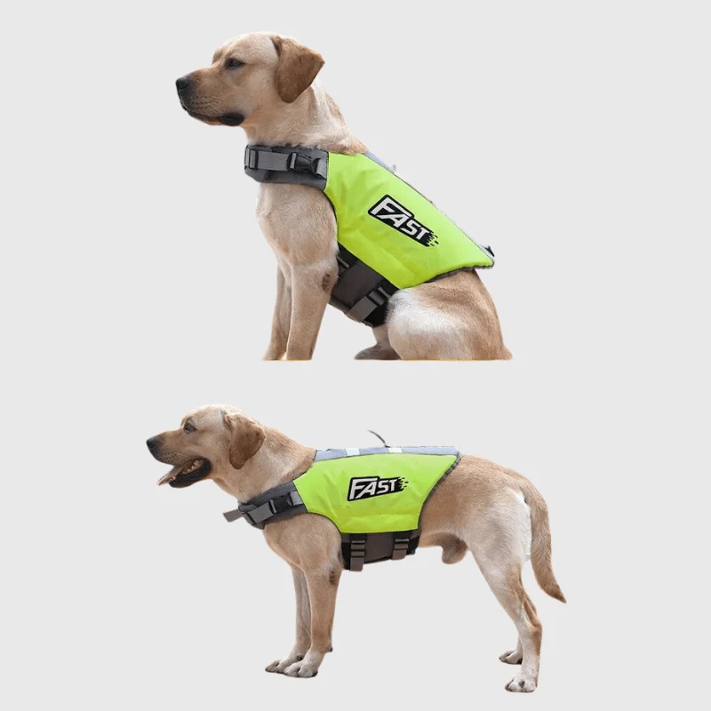 Gilet Sauvetage Chien Natation Vert