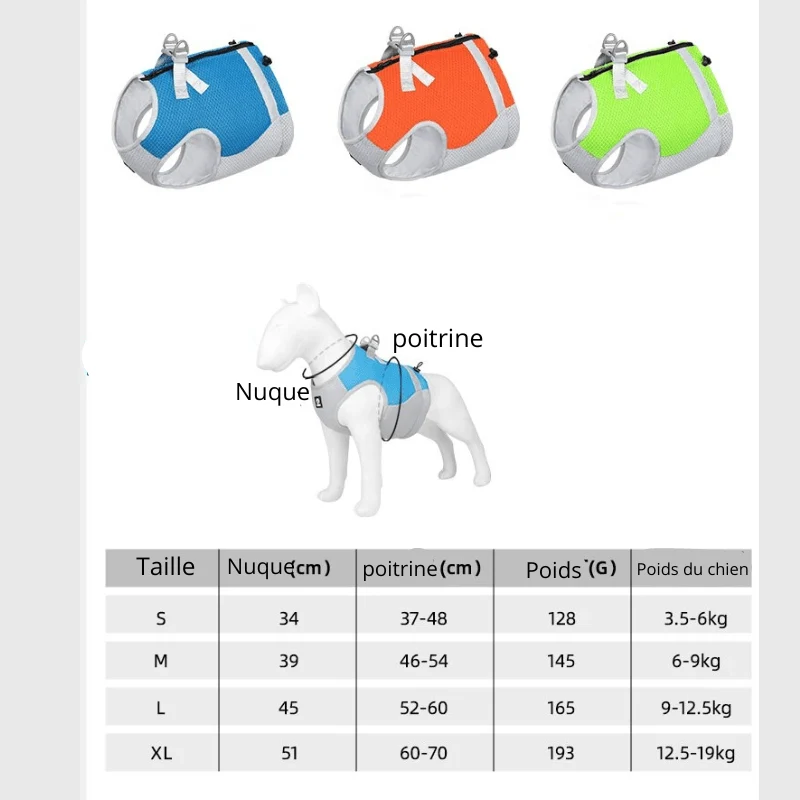 Harnais Rafraîchissant Été Chien Sportif