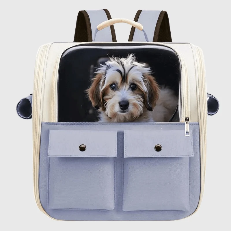 Sac à Dos Transport Chien Coloré 38cm