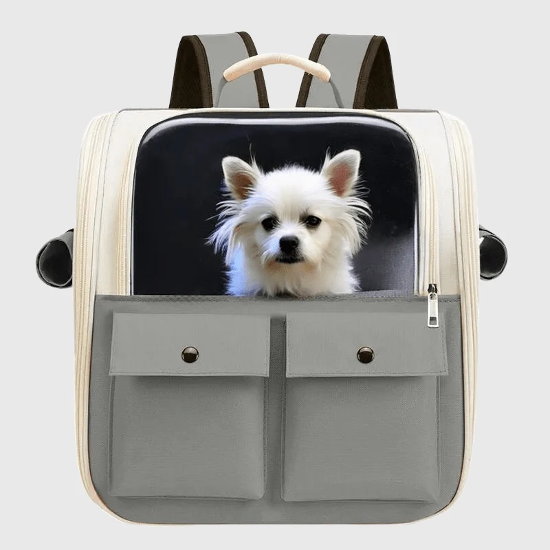 Sac à Dos Transport Chien Coloré 38cm
