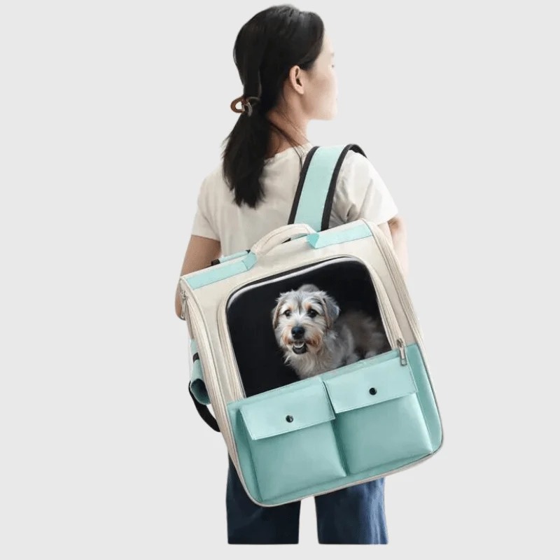 Sac à Dos Transport Chien Coloré 38cm
