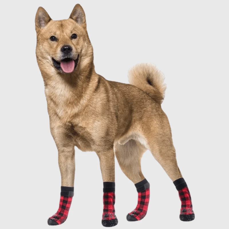 Chaussettes Antidérapantes Protection Gros Chien