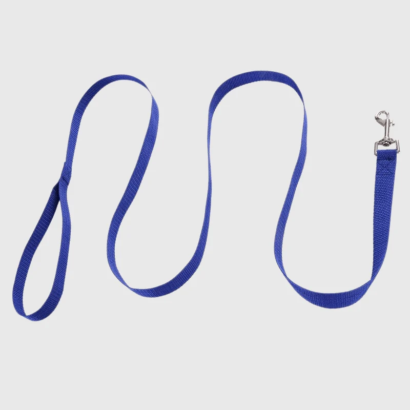 Laisse Nylon Courte Gros Chien Bleue