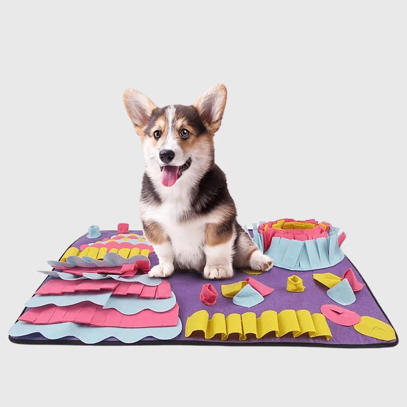 Tapis Fouille Olfactif Stimulation Mentale Chien