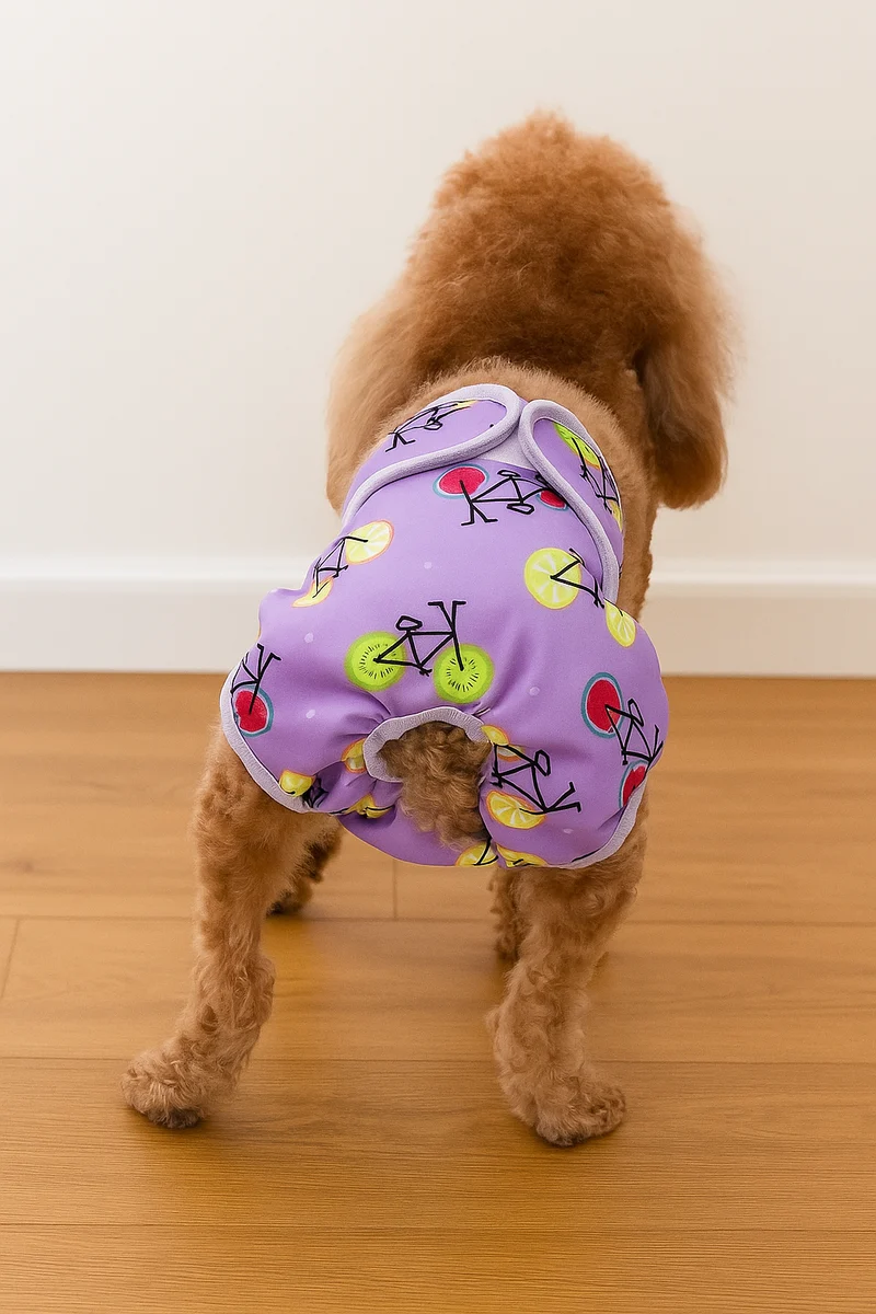 Culotte Chienne Chaleur Lavable Confortable