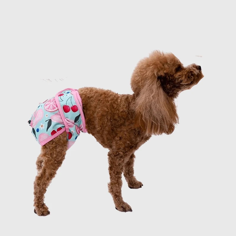 Culotte Chienne Chaleur Lavable Confortable
