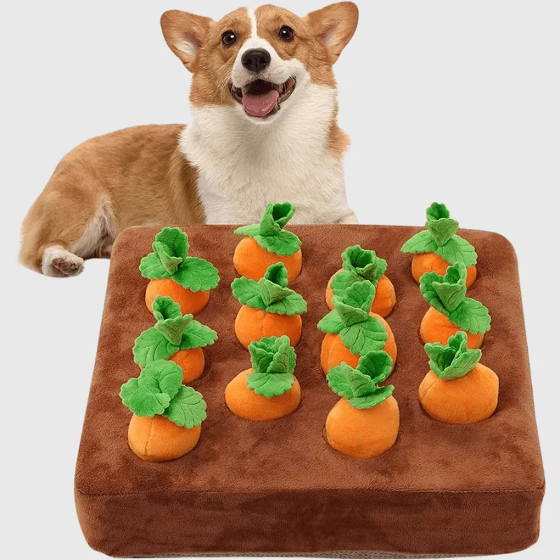 Peluche Interactive Carottes Chien Curieux