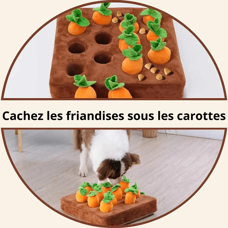 Peluche Interactive Carottes Chien Curieux