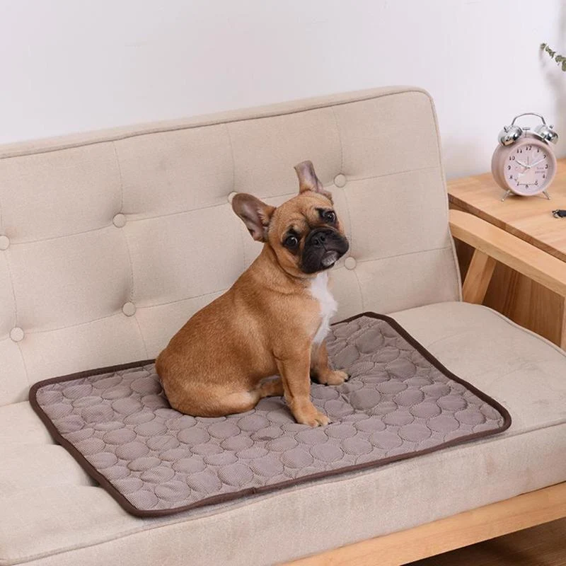 Tapis Rafraîchissant XXL Gros Chien