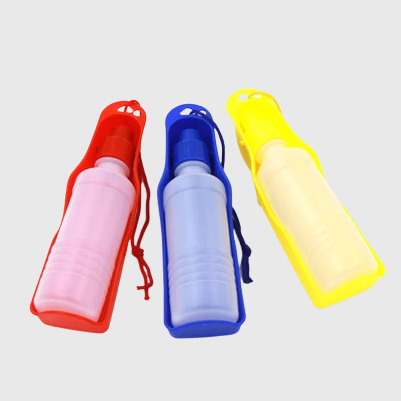 Gourde Portable Promenade Gros Chien 250ml